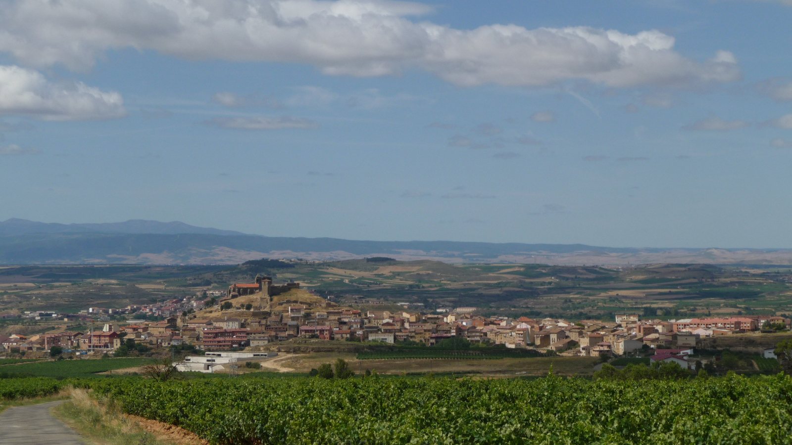 Viñedos y, al fondo, San Vicente de la Sonsierra, desde la carretera que sube a Peciña. Foto: BigSus (CC BY 2.5), Wikimedia Commons.