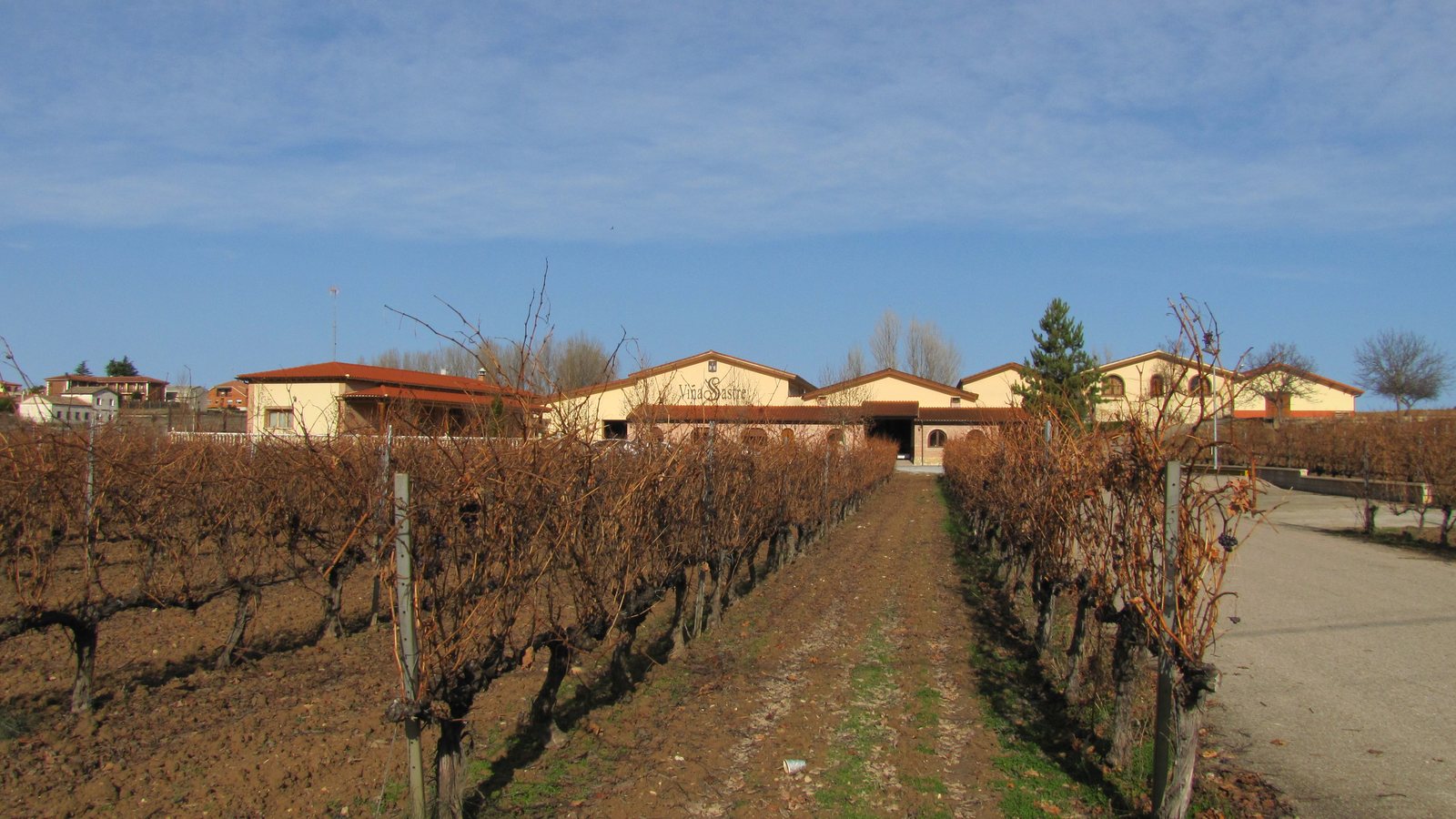 Viñedos en invierno en La Horra (Burgos), en la Ribera del Duero. Foto: Pravdaverita (CC BY 3.0), Wikimedia Commons.